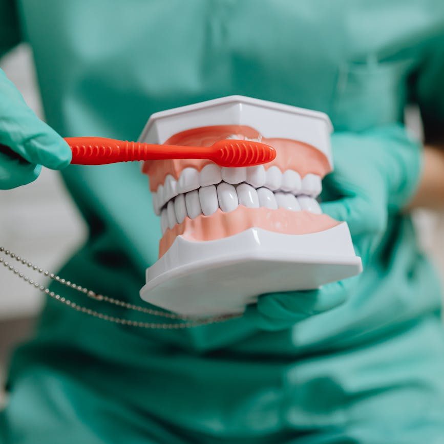 selective focus photo of a dentist demonstrating how to brush teeth